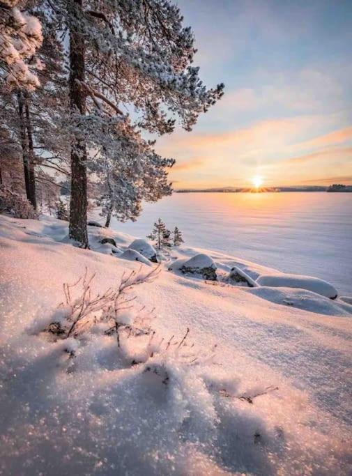 1 B1B Lake Cabin/Walk To Lake/Boulder Bay Park Біг-Бер-Лейк Екстер'єр фото